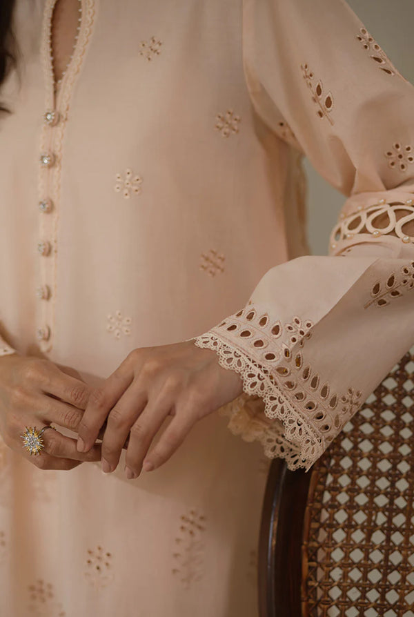 2 Piece - Embroidered Beige Lawn Suit