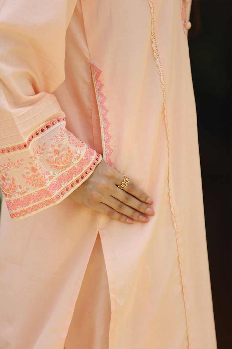 2 Piece - Embroidered Light Pink Lawn Suit